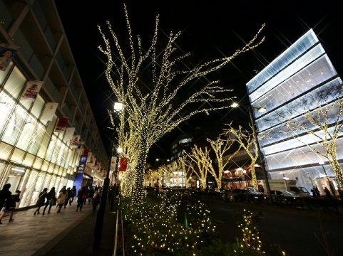 原宿・表参道イルミネーション2016年