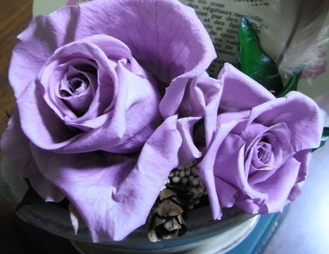 出典：ACワークス株式会社　https://www.photo-ac.com/