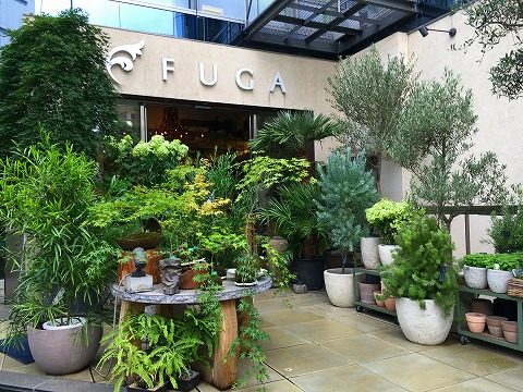 花屋　外苑前・青山一丁目