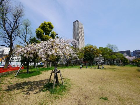 公園