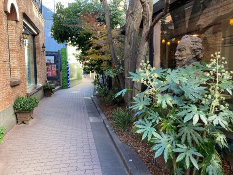 ブラームスの小径