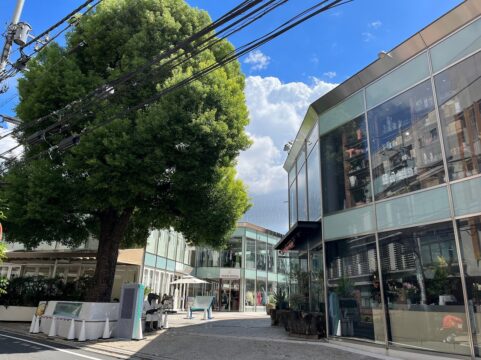 グラッセリア青山