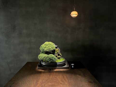 松葉屋茶寮（MatsubayaSaryo）