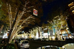 表参道イルミネーション