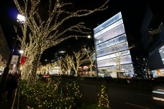 表参道イルミネーション