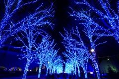 青の洞窟 渋谷