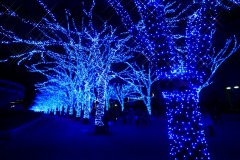 青の洞窟 渋谷