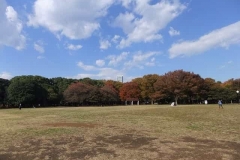 代々木公園