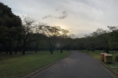 代々木公園