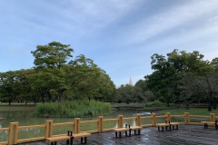 代々木公園