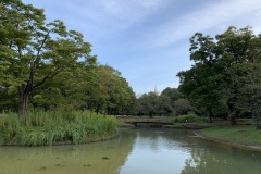 代々木公園