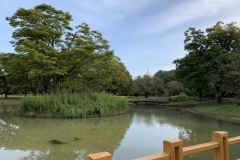 代々木公園