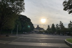 代々木公園