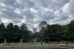 IMG_0185