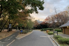 代々木公園