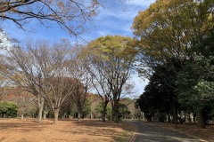 IMG_1273