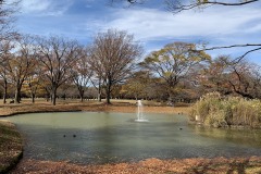 IMG_1275