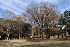 IMG_1277