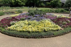 IMG_2334