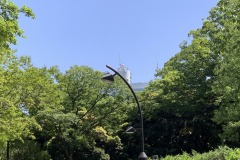 IMG_2340