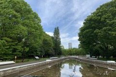 代々木公園
