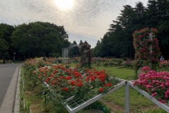 代々木公園
