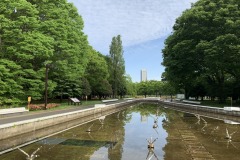 代々木公園