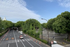 代々木公園