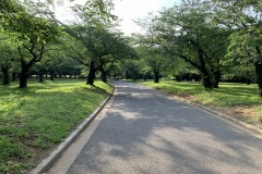 代々木公園