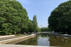代々木公園