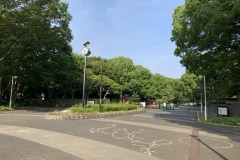 代々木公園
