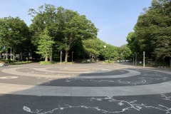 代々木公園