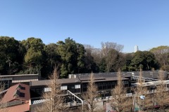 原宿駅