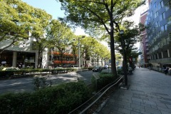 原宿