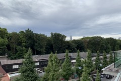 IMG_9494