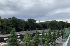 WITH原宿からの景色