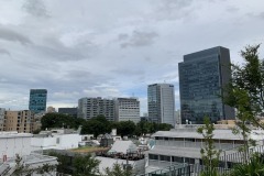 WITH原宿からの景色