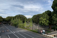 原宿