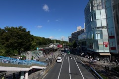原宿