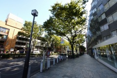原宿