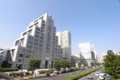国連大学