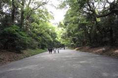 明治神宮