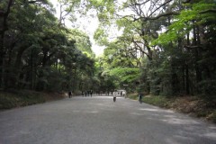 明治神宮