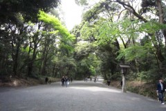 明治神宮