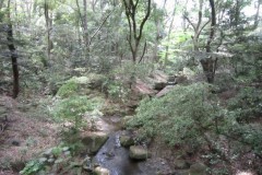 明治神宮