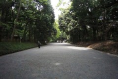 明治神宮