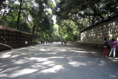 明治神宮