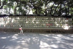 明治神宮