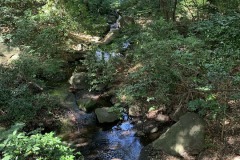 IMG_6593