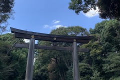 IMG_6597